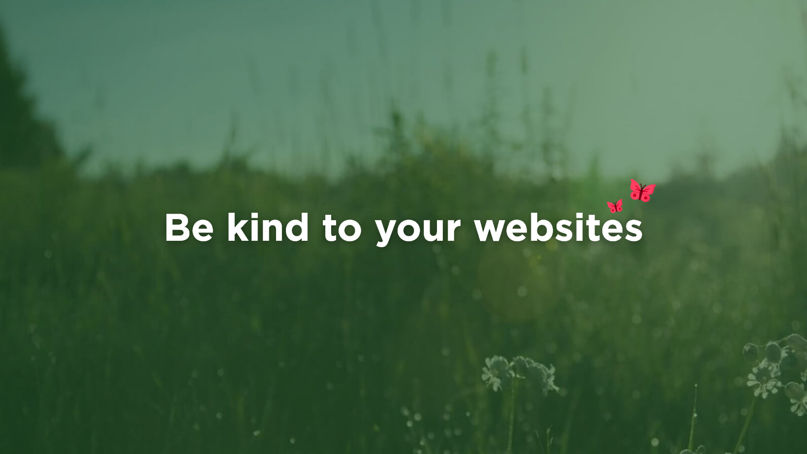 Photo with text: "Be kind to your websites"