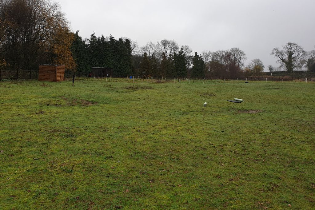 An empty grass field