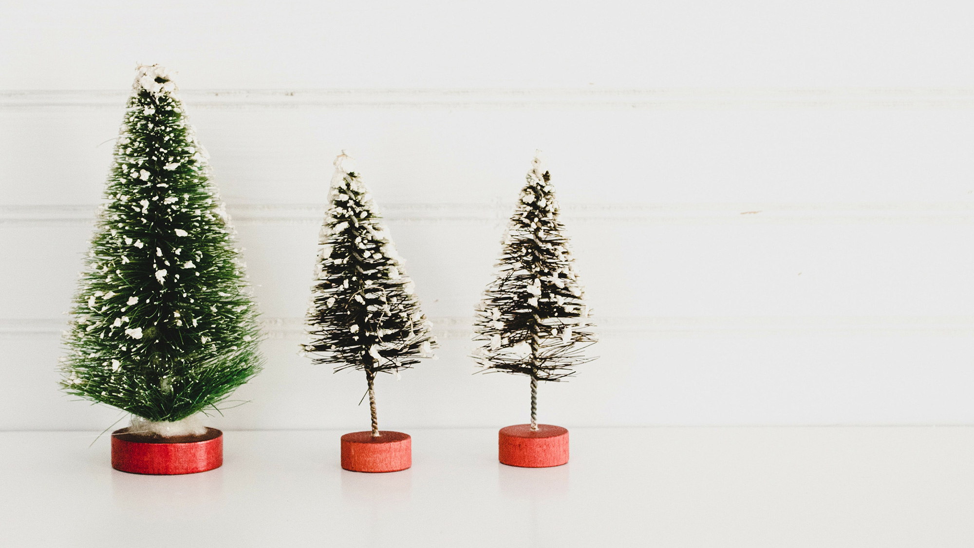 Photo of three small artificial Christmas trees