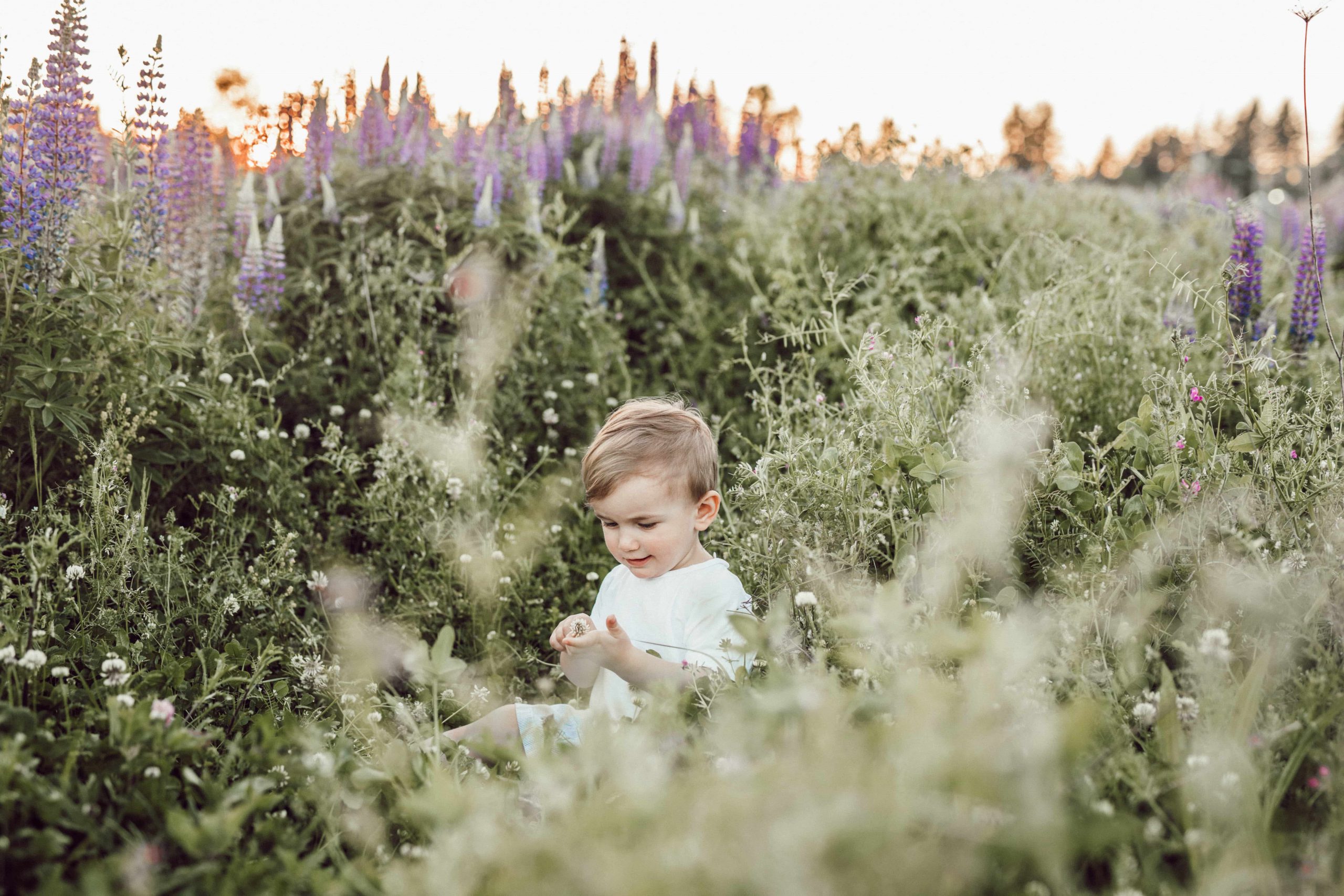 a toddler sits in a field of flowers