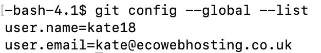 Screenshot of the response when you type in git config --global --list