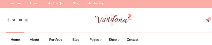 Screenshot of a demo version of the Vandana Lite WordPress theme