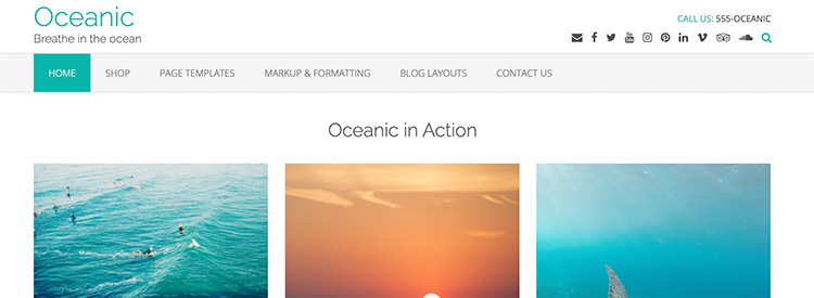 Screenshot of the Oceanic WordPress theme.