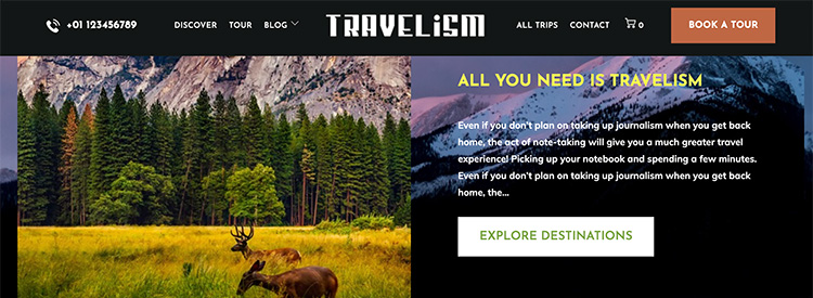 Screenshot of the Travelism WordPress theme.