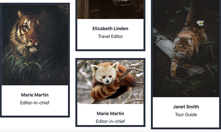 A screenshot of the demo version of the Team Column Grid block pattern by Anariel Design, showing four different team members, with photos, in a masonry layout. The team members photos are of cute animals.