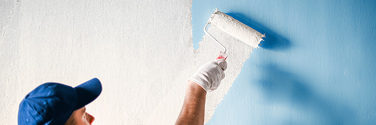 A person painting a wall with a roller brush, replacing a faded blue with an off-white colour.