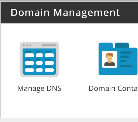 Screenshot of part of the Domain Management section that includes the Manage DNS button.