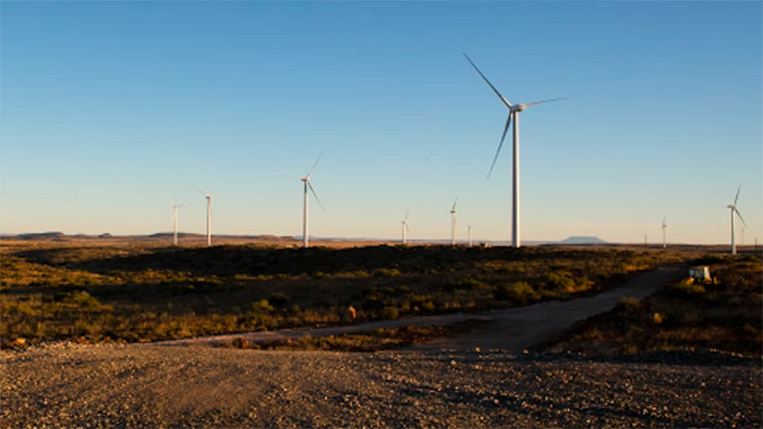 Wind turbines stretch out across the landscape in South Africa.