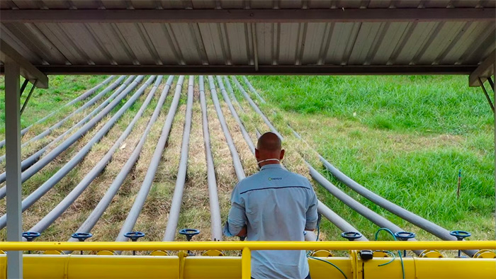 A man looks over a series of pipes resting on grass leading into a larger yellow pipe.
