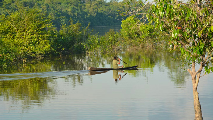 A person is paddling a canoe on a river in Colombia.